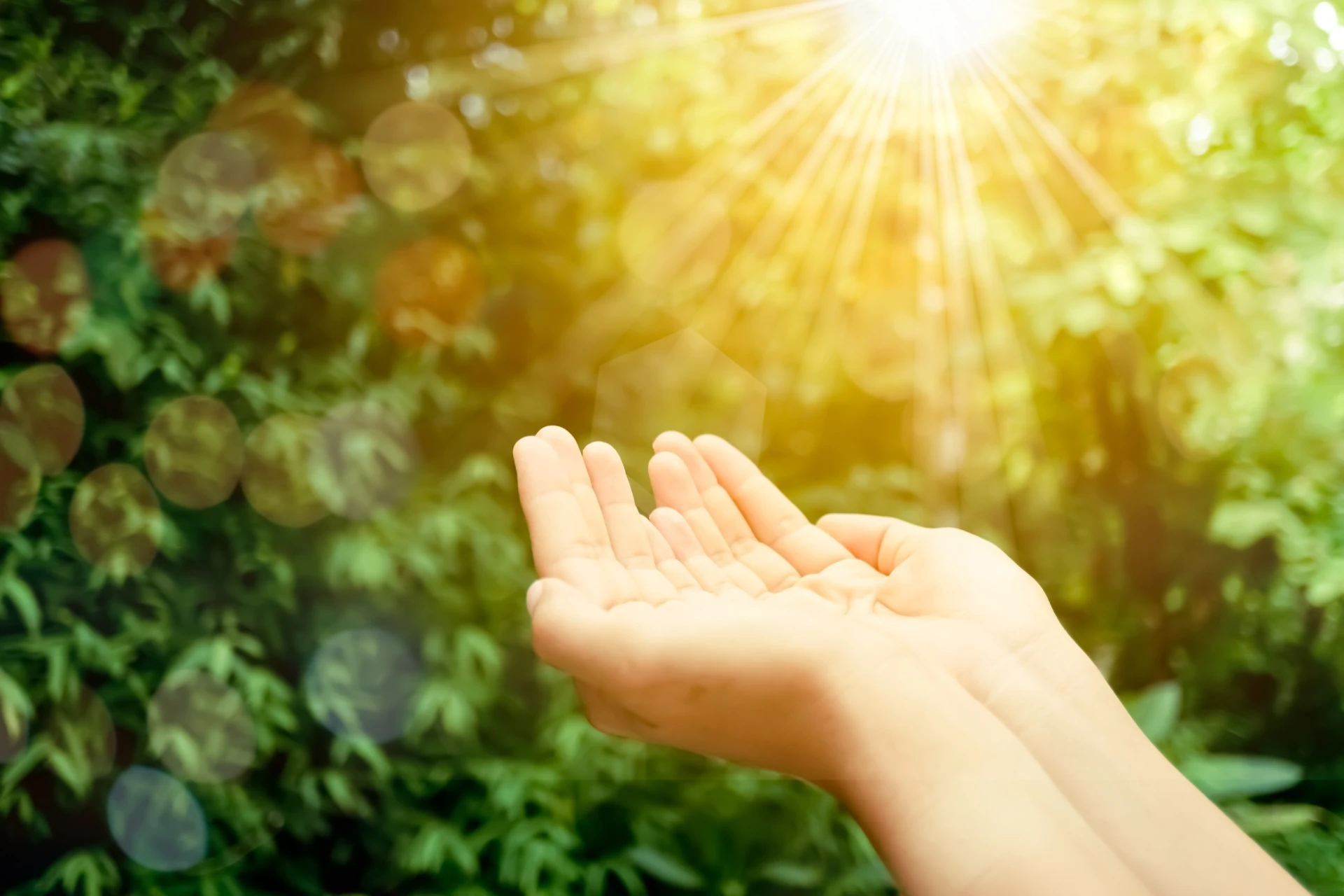 遠隔